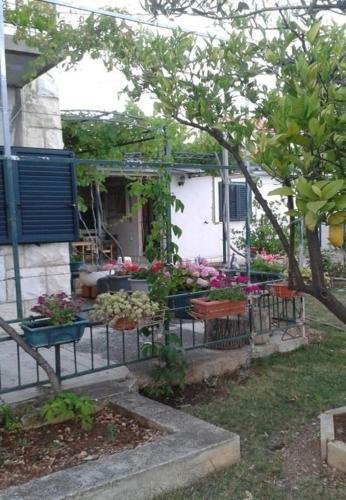 Holiday Home Tomislav-100m From Sea