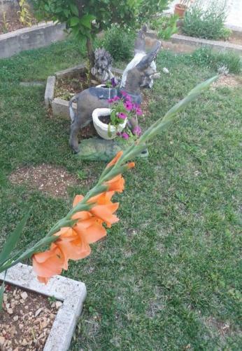Holiday Home Tomislav-100m From Sea