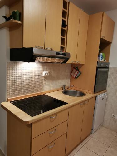 Vila Businci Apartment Silva A5