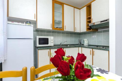 Apartments Krusica