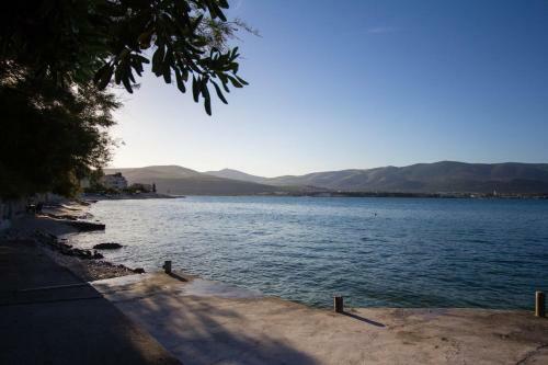 Apartments David - 20m From Beach
