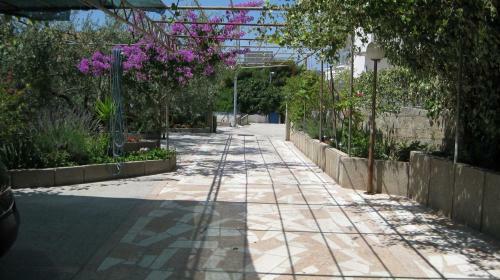 Apartments Ljuba - Nice Garden