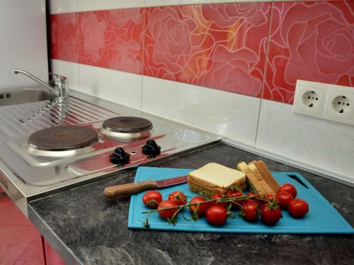 Apartment Vinka-1