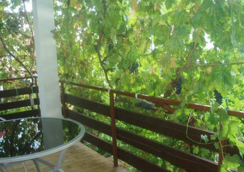 Apartment Ruza - 300m From Sea