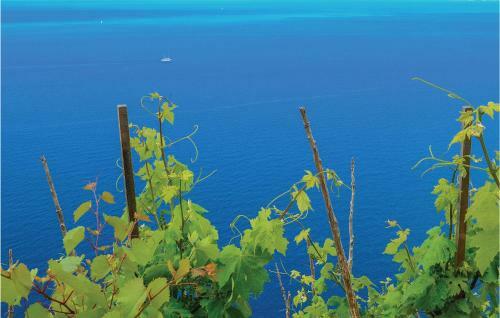 Two-bedroom Apartment In Trstenik