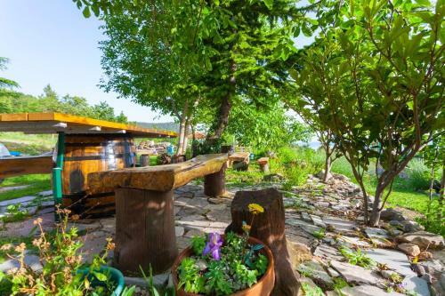 Villa Tonci - Surrounded By Nature