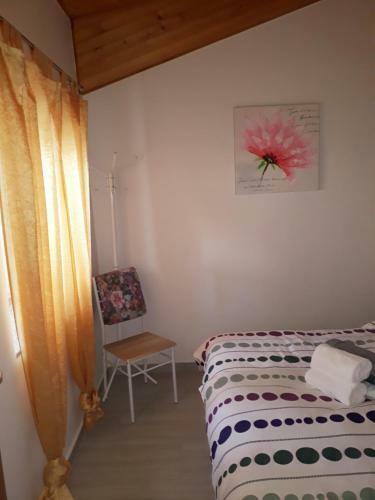 Apartamentos Amalia