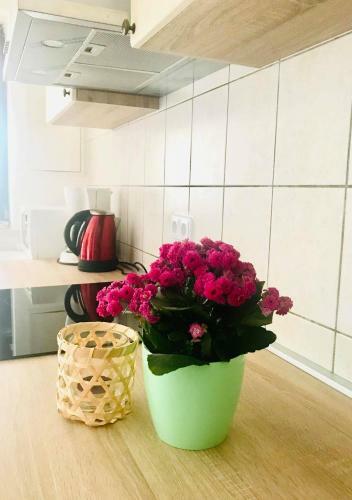 Apartmani Ulika