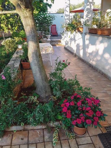 Hostal Apartments Marija
