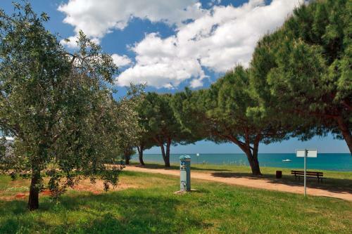 Mediteran Kamp Mobile Homes In Camping Park Umag