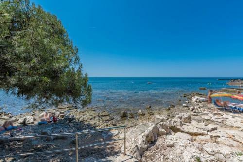 Villa Delfina
