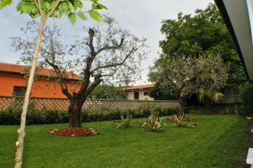 Hostal Haus Liliana