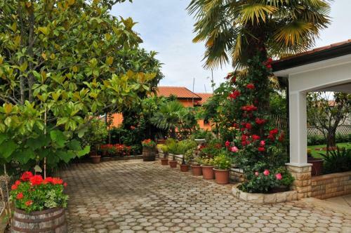 Hostal 1a Lilly Vabriga With Sea View