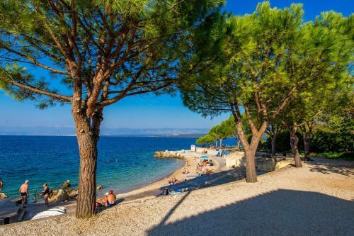 Apartman Brankica