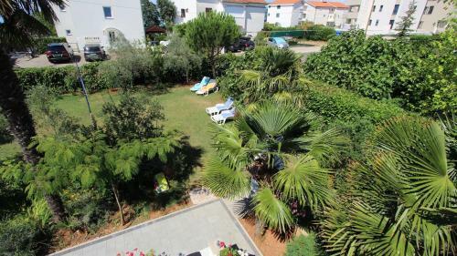 Hostal Apartments Miro