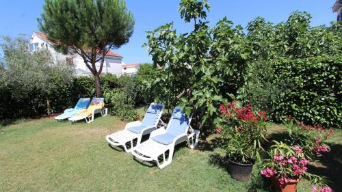 Hostal Apartments Miro
