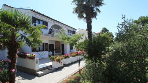 Hostal Apartments Miro