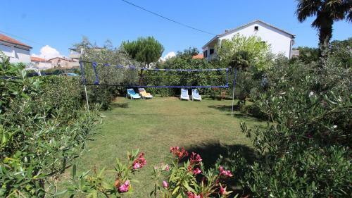 Hostal Apartments Miro