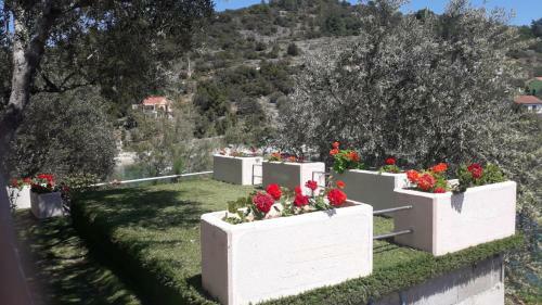 Apartamentos Villa Rosa