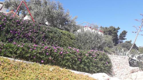 Apartamentos Villa Rosa