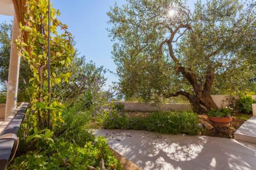 Holiday Home With Pool Arija