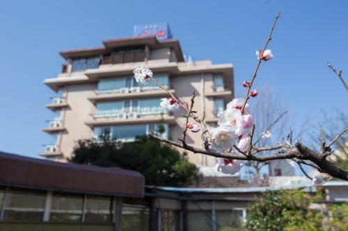Hotel Hatta