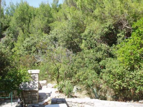 Apartments Desa-10m From Beach