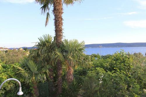 Apartments Ante - 30 M From Sea