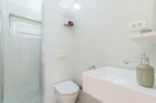 Apartamentos Leng