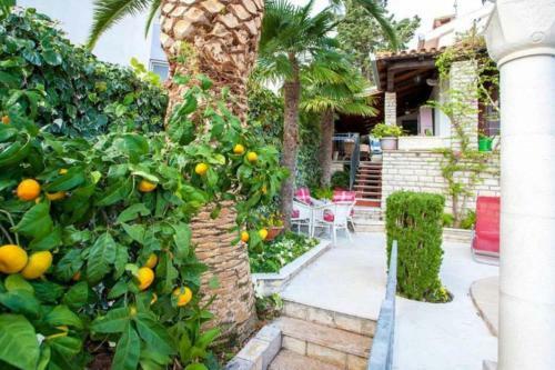 Villa Masha
