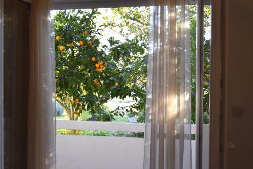 Apartamento House Draga Accommodation