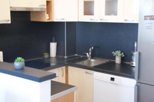 Apartment Nika