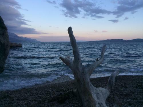 Hostel Dalmatia