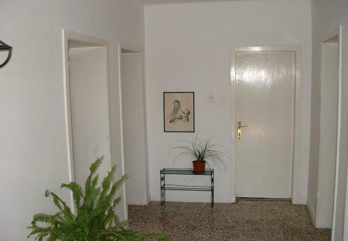 Apartment Zarko - 20 M From Beach