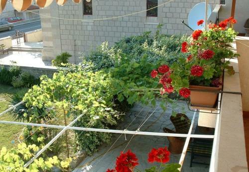 Apartment Zarko - 20 M From Beach
