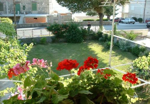 Apartment Zarko - 20 M From Beach