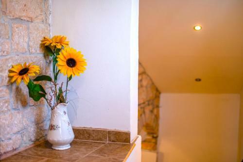 Villa Holiday Home ?terna 662