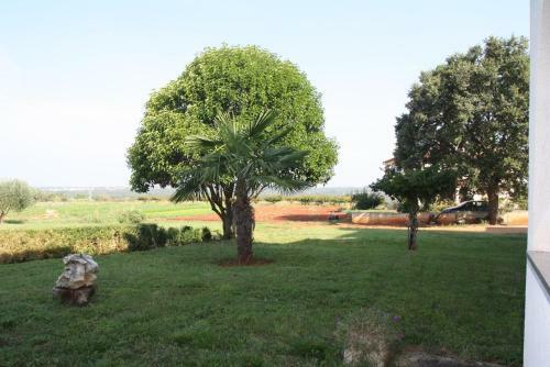 Hostal Apartments Livio Stranici