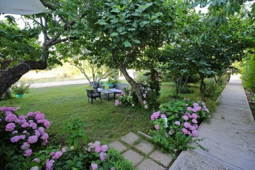 Apartments Vera - 150 M From Sea