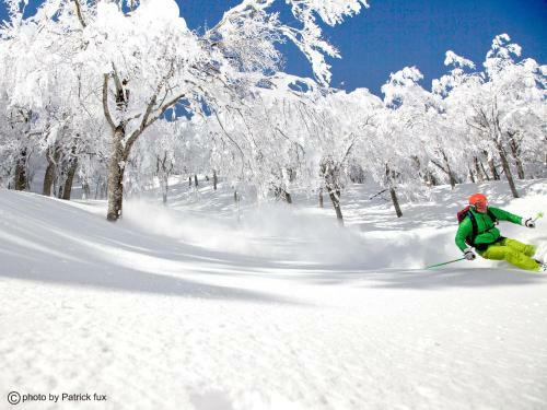 Hotel Green Plaza Hakuba