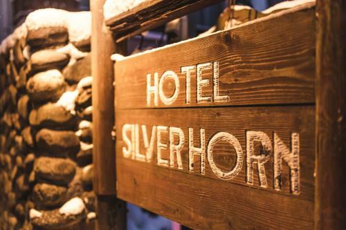 Hotel Silverhorn
