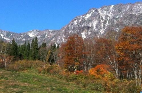 Tsubame Highland Lodge