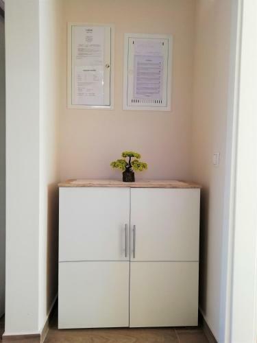 Apartment Vera Nin
