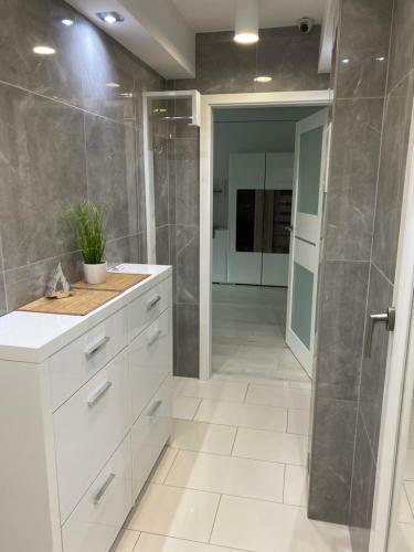 Belv�rosi Luxus Apartman