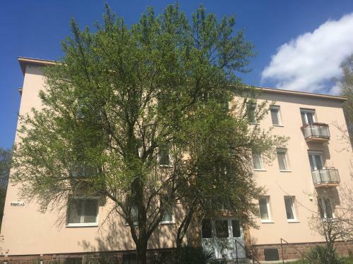 Balaton Sz�pe Apartment Balatonf?zf?