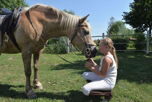 Bed & Breakfast Hartmann Panzi�