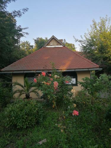 Z�ld Oliva Apartman