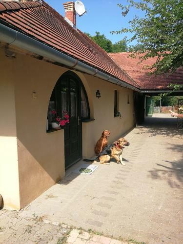 Z�ld Oliva Apartman