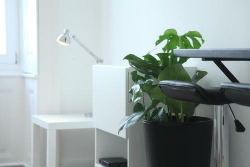 D.five Pearl Apartment In The Center With City View