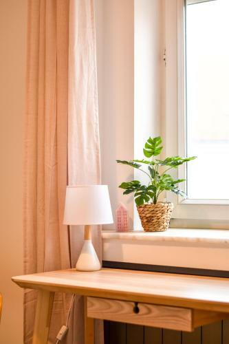 Paradox Delux Apartment